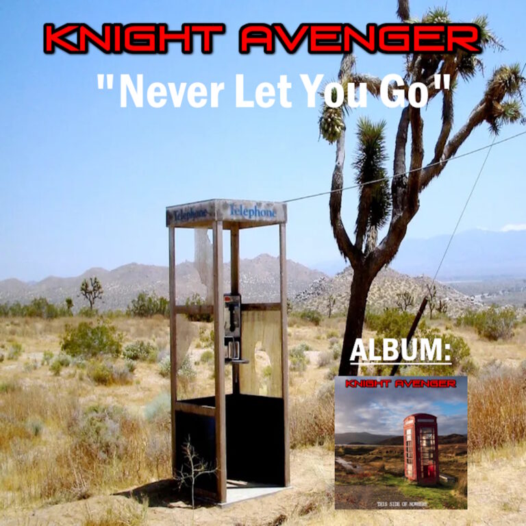 NEVER LET YOU GO 3000 COVER