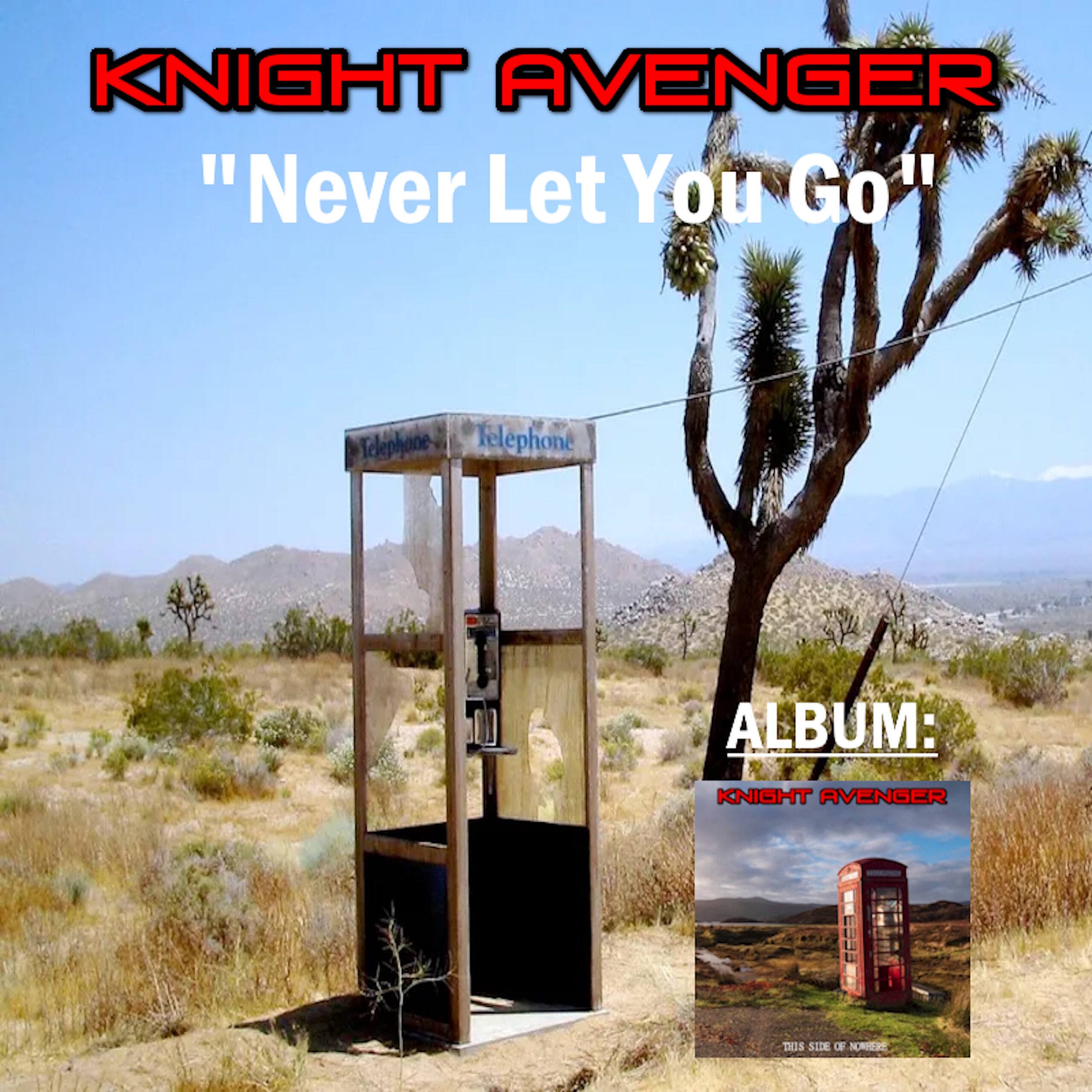 NEVER LET YOU GO 3000 COVER